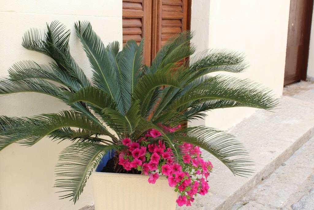 Palazzo Taormina Daire Castellammare del Golfo Dış mekan fotoğraf